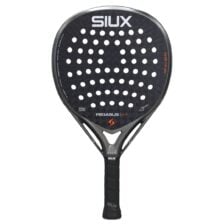 Siux Pegasus Pro 2026